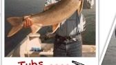 Tubs 2003